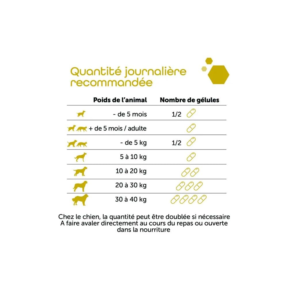 Pack de 2 Ultradiar - Soutien digestif, selles Molles & gaz Digestion