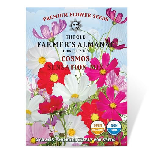 The Old Farmer's Almanac Cosmos Sensation Mix Flower Seeds - Premium Non-GMO, Open Pollinated, 1 Packet, 2 Grams, Approx 200 Seeds