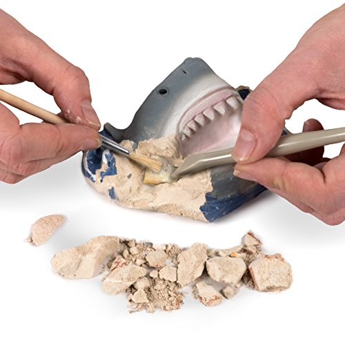 National Geographic Dig Kit: Shark Teeth Fossils, Archaeology & Marine Biology for Kids - Image 3