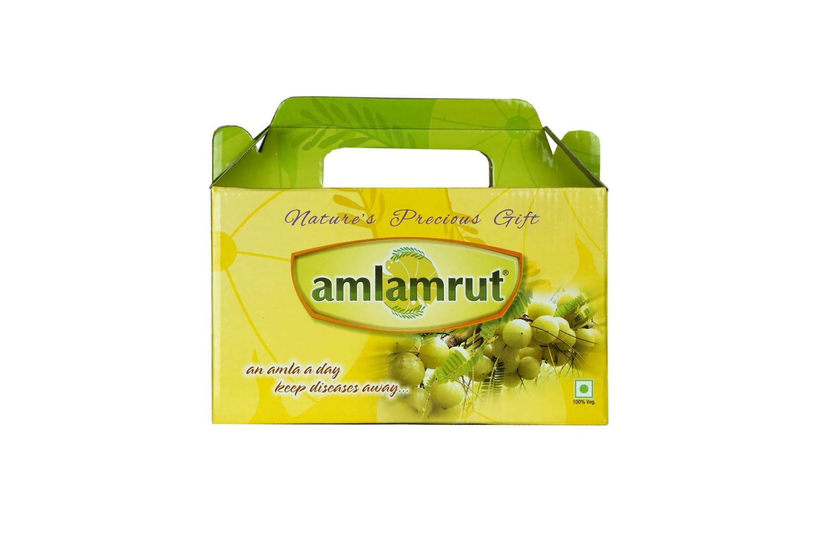 Amlamrut Amla Health Pack Mini | Natural Gooseberry Snack Mix | Vitamin-C-Rich Traditional Blend + Amla Squash 450ml | Sweet-Tangy Gooseberry Drink Concentrate for Refreshing Beverages 2