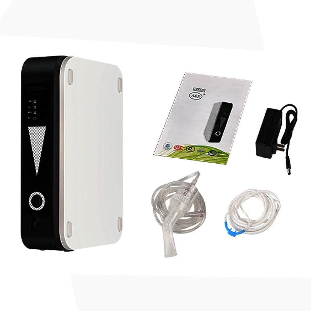 Buy TOPQSC Portable Oxygen Generator Home Oxygen Machine 1L/Min Oxygen