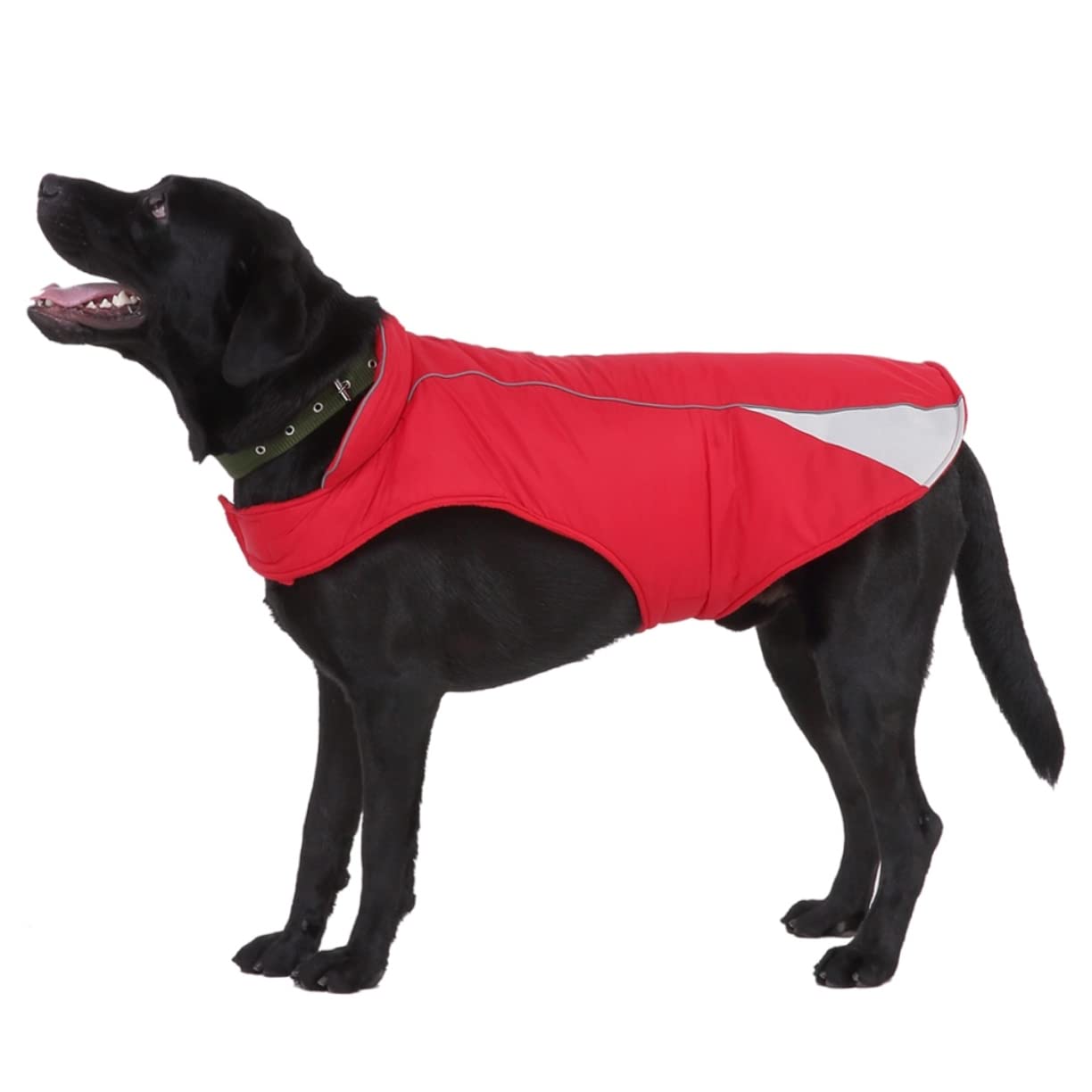 Manteaux de Pluie pour Chien imperméables, imperméable pour Chien, 2 pièces en Tissu pour Chien de fête, Gilet réflecteur pour Animal de Compagnie, vêtements p