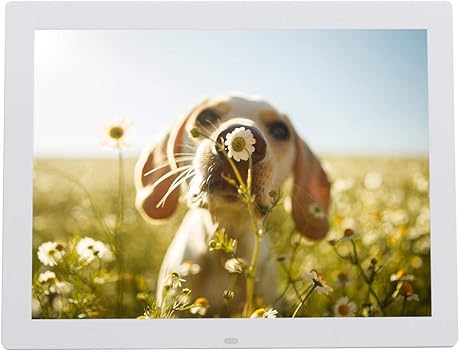 VBESTLIFE Zoll Digitaler FotorahmenUSB 20 1024 768 Touchscreen Digital
Bilderrahmen mit WeckerKalender Movie PlayerGeschenk fAr Familien und
FreundeweiAY : Digitale Bilderrahmen VBESTLIFE Zoll Digitaler FotorahmenUSB 20 1024 768 Touchscreen Digital
Bilderrahmen mit WeckerKalender Movie PlayerGeschenk fAr Familien und
FreundeweiAY : Digitale Bilderrahmen