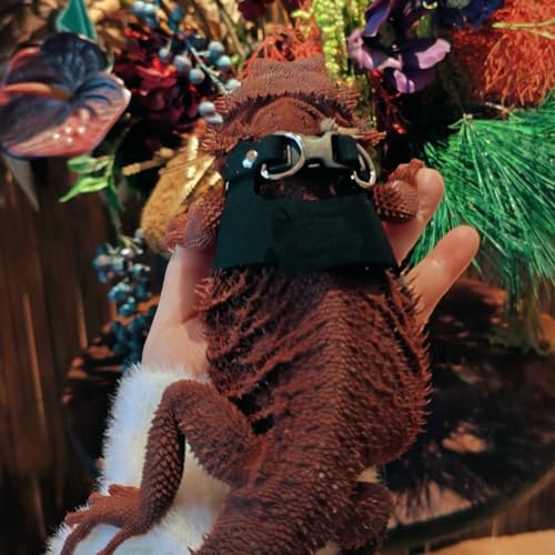 Image of Bearded Dragon Harness and Leash Set, Adjustable Harness Soft Leather-3 Sizes (S, M, L) with Leash, Lizard Reptile Traction Rope Walking Vest Accessories for Bearded Dragon, Iguana or Gecko (Black)