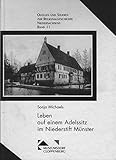  Leben auf einem Adelssitz im Niederstift Münster: Bauen, Wohnen, Arbeiten und Haushalten auf Burg Dinklage zwischen dem 16. und 19. Jahrhundert ... zur Regionalgeschichte Niedersachsens)