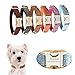 Personalized Dog Collar with Name Plate , Adjustable Tough Nylon Customize Engraved ID Collar with Metal Buckle, Options to Matching Style Leash and Bowtie(XS, S, M, L, XL) (Suit Style)