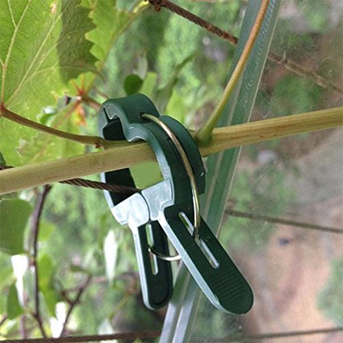 Cozyswan - 20 Clips de Flor para Soporte de Palanca, cortaúñas para Soporte de Tallos para Tomates, Girasoles, Ramas de vinos, Tartas, Jaula de Tomate