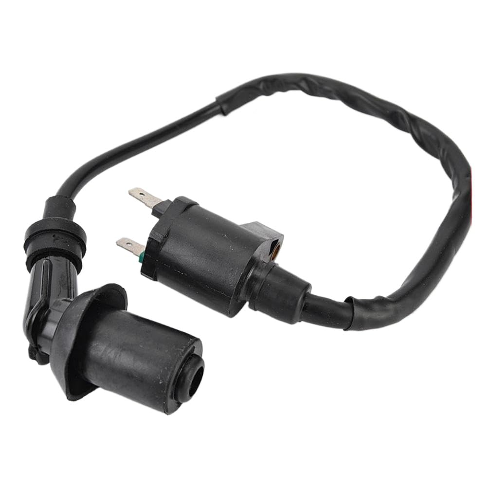 Gruppo bobina di accensione V30510CJF010 compatibile con Aeon DS70 DS90 X DS 70 90 4T e GOES ATV 220 sostituisce AEO-30510205-000
