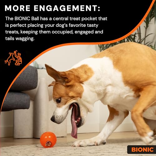 Bionic Ball, extrem widerstandsfähiges Hundespielzeug, 8,2cm