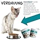 maxxipaws maxxidigest+ Probiotische & präbiotische Pulverergänzung - Verdauungs- und Immununterstützung für Katzen, 90g