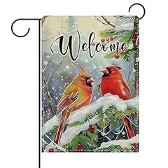 Winter Cardinal
