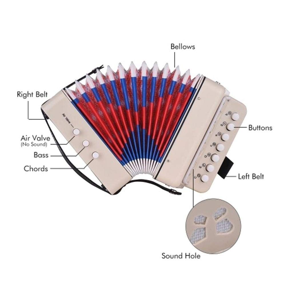 Amazon.co.jp: Mini Accordion 7 Keys 2 Base Kids Musical