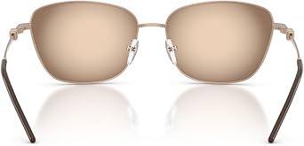 Emporio Armani mens Ea2170 Square Sunglasses