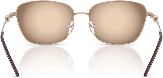 Emporio Armani mens Ea2170 Square Sunglasses
