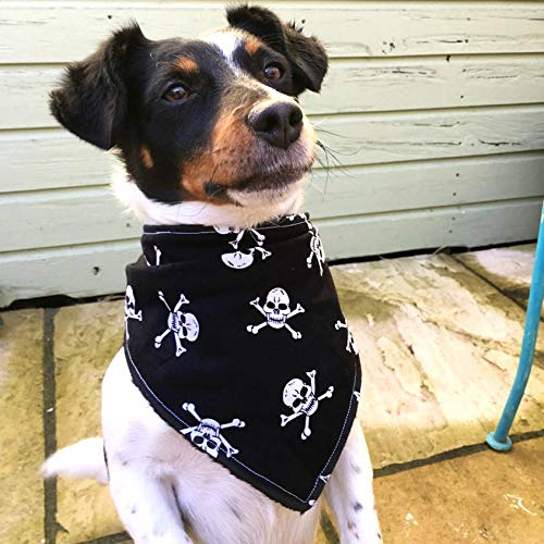 Bandana chiot à la main de qualité supérieure Dimples - 3