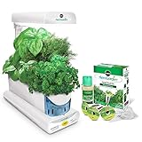 AeroGarden Sprout Gourmet Herb Seed Pod Kit, White