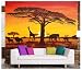 Sunset in Africa wallpaper - Africa sunset - Africa safari wallpaper - XXL wall decoration 82.7 Inch x 55 Inch
