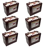 Trojan T1275-AES 12V Advanced Energy Storage Deep-Cycle Battery, 130Ah, Renewable Energy, Off-Grid, Marine, Industrial Use (Pack of 6)