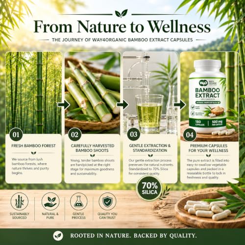 WAY 4 ORGANIC W4O Organic Silica Supplement