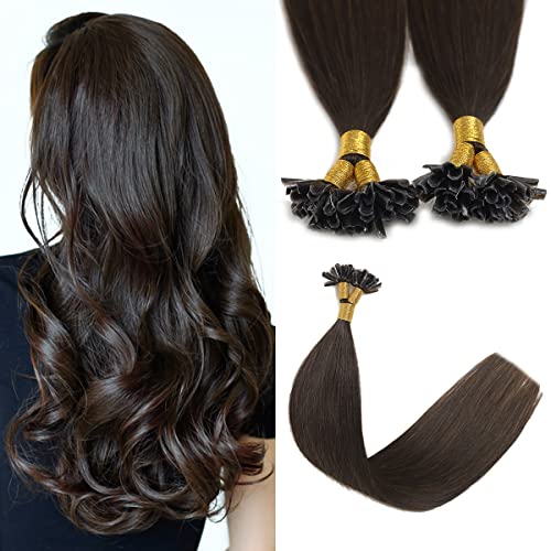 Sindra Dark Brown Hair Extensions U Tip 14 Inch 40g Dark Brown Pre Bonded Fusion Extensions Real Human Hair Straight Nail Keratin #2 14inch