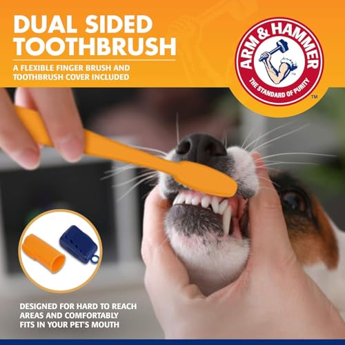 Image of Arm & Hammer for Pets Tartar Control Dog Dental Care Kit, Banana Mint Flavor Toothpaste with Baking Soda, Double-Sided Toothbrush and Finger Brush Included, 2.5 Oz, 3-Piece - 2 Pack