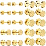 NEWITIN 10 pares de pendientes de acero inoxidable hipoalergénicos, pendientes de imitación para hombres y mujeres, doble 6.0