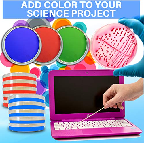 Evviva Sciences Colorful Nutrient Agar Kit - 15 Prepoured Nutrient Agar Petri Dishes - Red, Green, & Blue Agar Plates - Science Laboratory Project - Experiment Ebook - Learn Microbiology Now