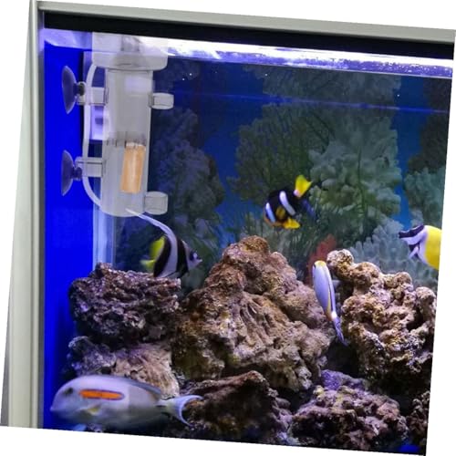 BELLIFFY 2�� �ؐ��v���e�C���X�L�}�[�p�G�A�[�X�g�[�� �ψ�C�A���o�Ő������� �W�� �C�������Ή� �_�f�������̋C�A�f�B�t���[�U�[