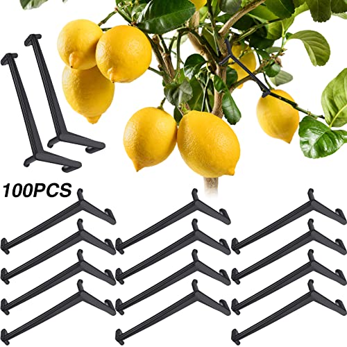 Separadores de ramas para árboles frutales 100 piezas miniatura 1