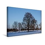 Calvendo Premium Textil-Leinwand 45 cm x 30 cm Quer, Winterlandschaft | Wandbild, Bild auf Keilrahmen, Fertigbild auf Echter Leinwand, Leinwanddruck Natur Natur - Thomas Becker