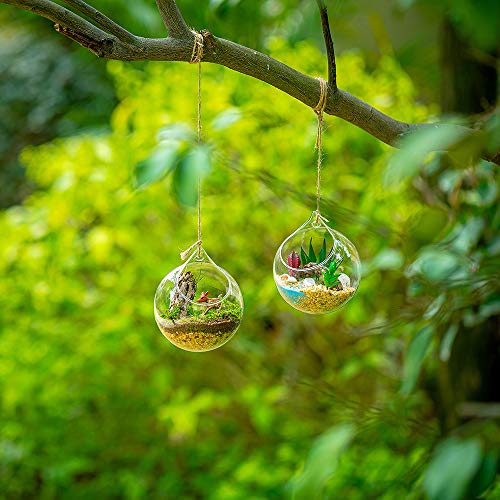 Plantas Colgantes de Aire 4 Piezas Portavelas de 4 Inches Cristal Terrario Portavelas Contenedores de Plantas de Vidrio para el Diseño de Bricolaje de Jardín de Bodas en Casa - imagen 3