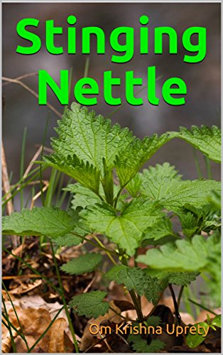 Stinging Nettle
