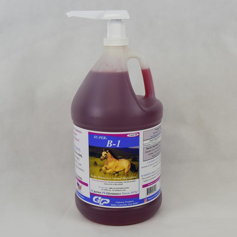 SU-PER B-1 Horse Calming Supplement - Equine Vitamin B-1 Support Horse Calmer Liquid - Appetite Booster Supplement for Horses - 1 Gallon + Pump, 4