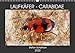 Produktbild LAUFKÃFER - CARABIDAE (Wandkalender 2022 DIN A3 quer) [Calendar] Schellhorn, Steffen