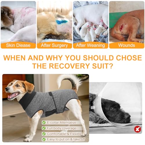 Image of BEAUTYZOO Dog Surgery Recovery Suit, Female Spay, Male Neuter, Anti Licking