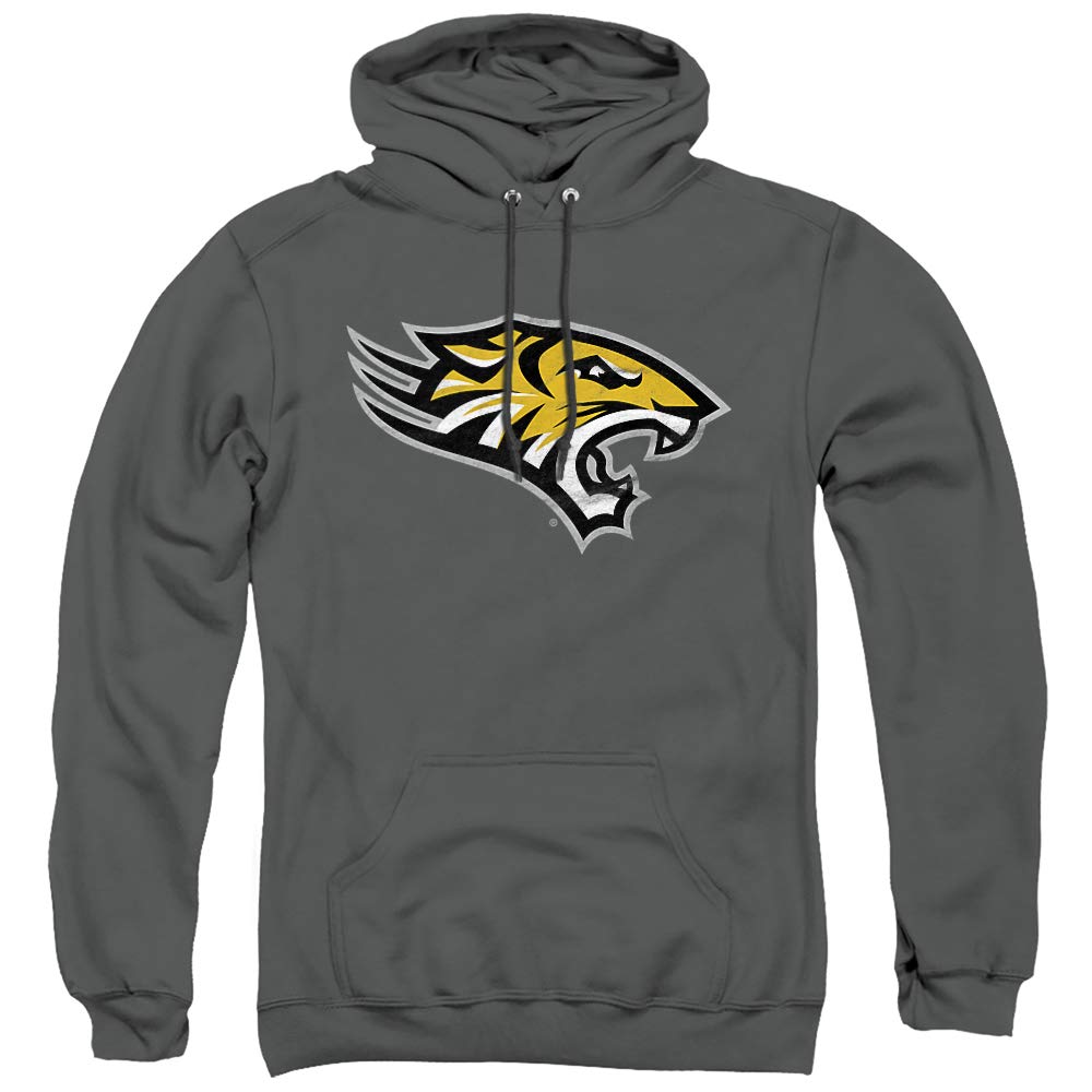 LOGOVISION Official Collegiate Distressed Primary Logo Adult Pullover Hoodie Collection — view 455