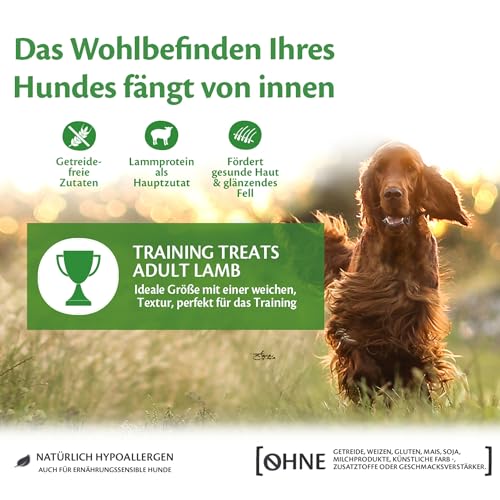 Wellness CORE Training Treats 170g, Lamm & Apfel – sanfte Hundeleckerli für alle Hunderassen, getreidefrei, natürlich, hypoallergen, proteinreich, hoher Fleischanteil, ideale Größe für das Training