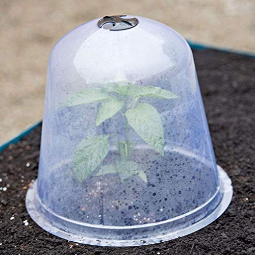 Hemoton Outdoor Plants Clear Container Butter Dish Dome 2pcs Garden Cloche Plant Dome Bell Cover Plastic Plant Protector Cover Salad Dish Cover Butter Dish Glass Plastic Container