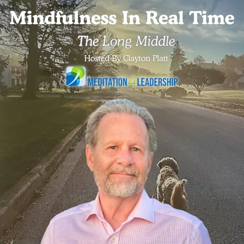 The Long Middle: Mindfulness, Resistance, and Finishing What You Start