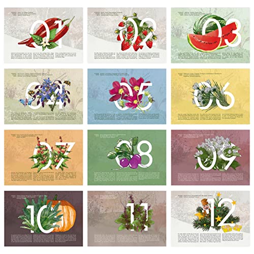 Saatgut Kalender 2023: Premium Garten Kalender 2023, 24 Sorten Gemüse Samen, Kräuter, Obst, Blumen – Garten Wandkalender, OwnGrown Jahreskalender 2023 - Image 3