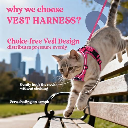 Image of rabbitgoo Cat Harness and Leash Set, Escape Proof Vest, Coconut Fuchsia | Soft Breathable Mesh, Easy Adjustable Fit, Snap Buckles, Sturdy Clip, Reflective Strips, for Small & Average Cats Walks, Xs
