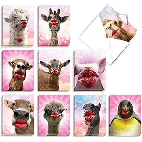 The Best Card Company - 20 Assorted Valentine's Day Cards Bulk (4 x 5.12 Inch) - Boxed Greetings (10 Designs, 2 Each) - Wild Kisses AM9280VDG-B2x10 Cover