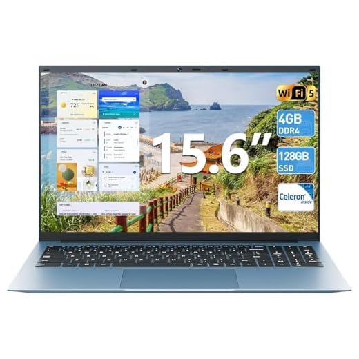 SGIN 15.6 Inch Windows 11 Laptop