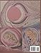 Coloring Workbook For Embryology: Medical Embryology For Students