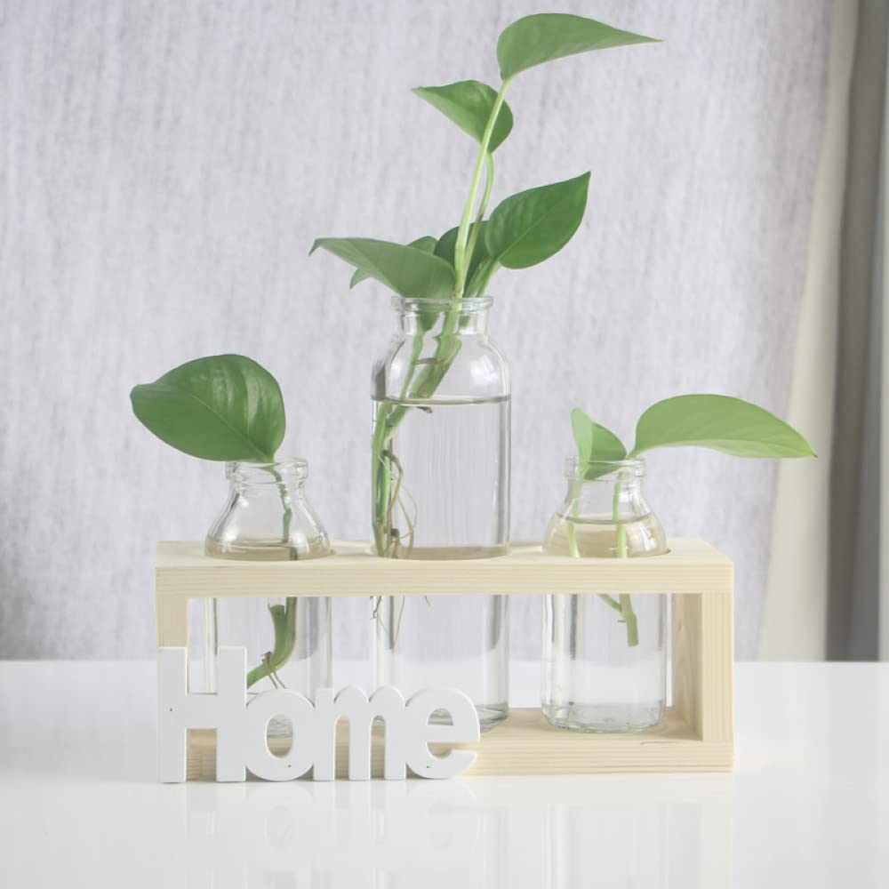 YXSH Station De Propagation des Plantes Vase Bouteille en Verre Plantes Hydroponiques Pot De Terrarium avec Support en Bois pour Mariage Bureau À Domicile Jardin Décoration De Table Vases À Bulbe