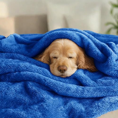 Image of Exclusivo Mezcla Plush Fuzzy Fleece Bed Blanket Twin Size, Super Soft, Fluffy and Warm Blankets for Couch, Bed, All Season (Cobalt Blue, 90x66 inches)