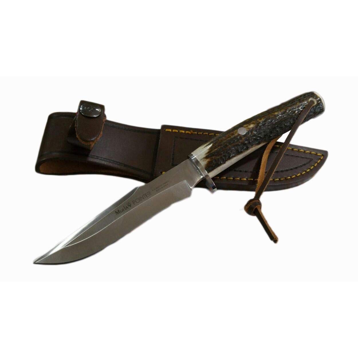 Muela Cuchillo de caza POINTER-13A con hoja de acero inoxidable ACX-380 de 13 cm y empuñadura de asta de ciervo para Caza, Pesca, Supervivencia y Bushcraft + Portabotellas de regalo