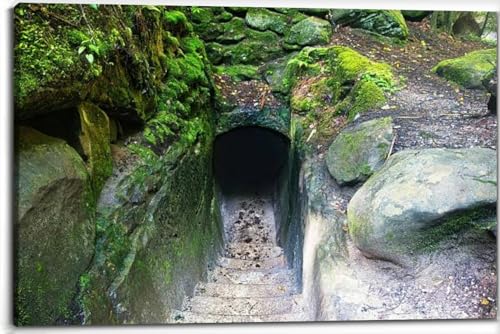 Steps Into Cave at Hocking Hills Canvas Wall Art Decor