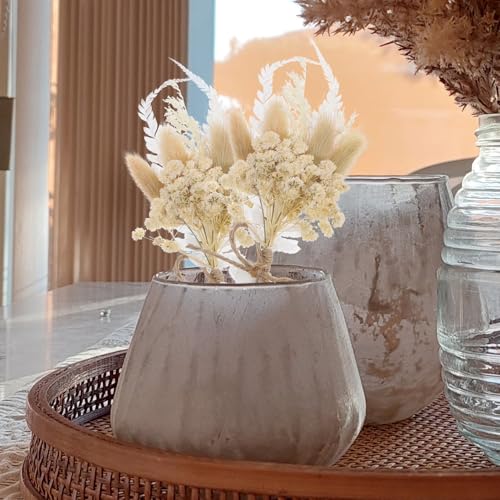 6 unidades mini ramo de flores secas naturales miniatura 6