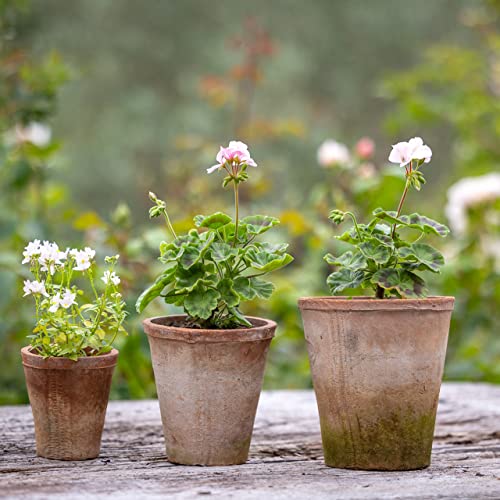 Home Deco London Aged Round Terracotta Plant Pots Set of rustic planters suitable for outdoors ideal for herbs - Cosy Home Interiors Home Deco London Aged Round Terracotta Plant Pots Set of rustic planters suitable for outdoors ideal for herbs - Image 3